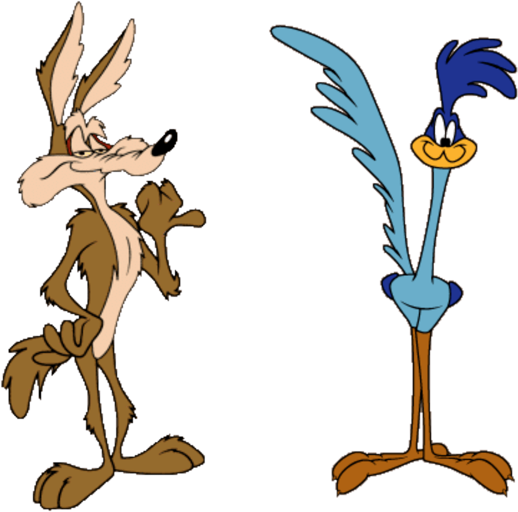 Road Runner Wile E - Road Runner Looney Tunes Cartoon Characters (2000x1736)