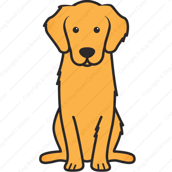 Golden Retriever Cartoon - Golden Retriever Cartoon Face (600x600)