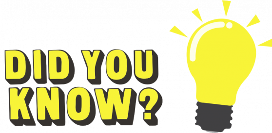 The Sections In Axl Have Websites Too - Did You Know Sign (558x274)