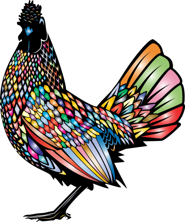 Rooster American Game Poultry Phasianidae Bird - Chicken (624x750)