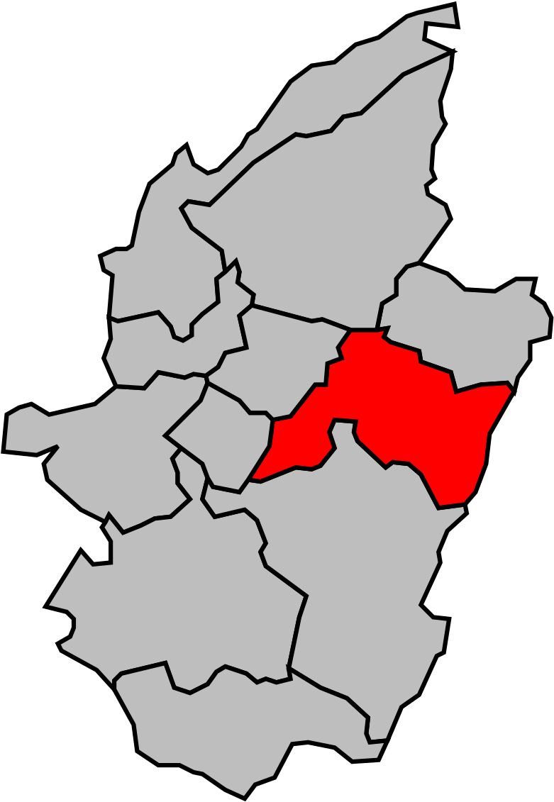 Communauté De Communes Saint Dié Svg (1200x1658)