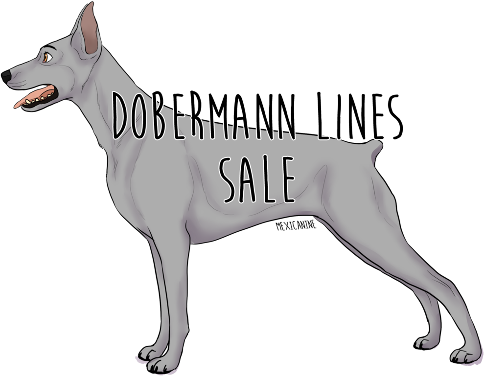 Pinscher By Svalbardranch On Deviantart - Dobermann (1020x783)