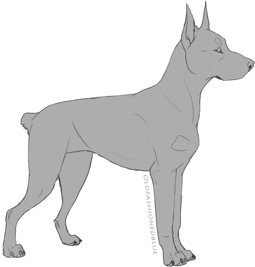 Dog Lineart Favourites By - Deviantart Doberman Adopts (1024x1024)