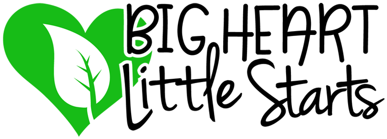 Big Heart Little Starts - Calligraphy (800x295)