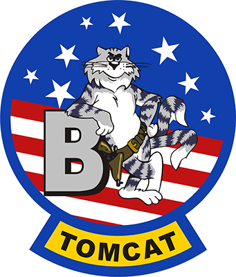 Tomcat F-14b Navy Day, Us Navy, Fixed Wing Aircraft, - F 14 Tomcat Patch (341x400)