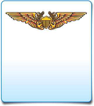 Tacdecal Naval Flight Officer Wing Decal - Tacdecal Naval Flight Officer Wing Decal (340x378)