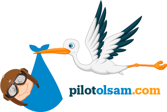 Nasıl Pilot Olurum Pilot Olmak İçin Gerekli Şartlar - Stork Med Bebis (541x363)