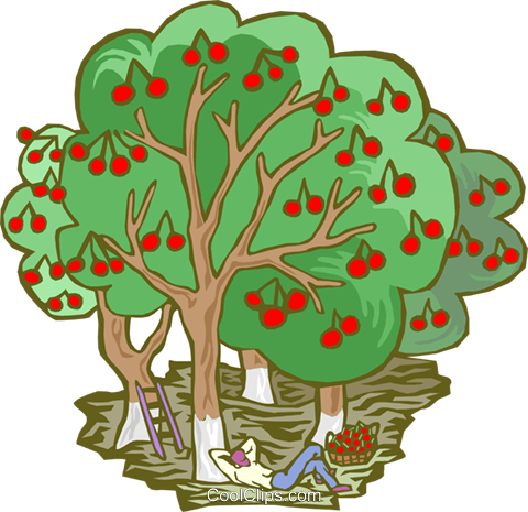 Apple Harvest Royalty Free Vector Clip Art Illustration - Energy And Its Types (480x465)