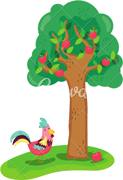 Apple Tree And Rooster Farm Animal - Illustration (800x800)