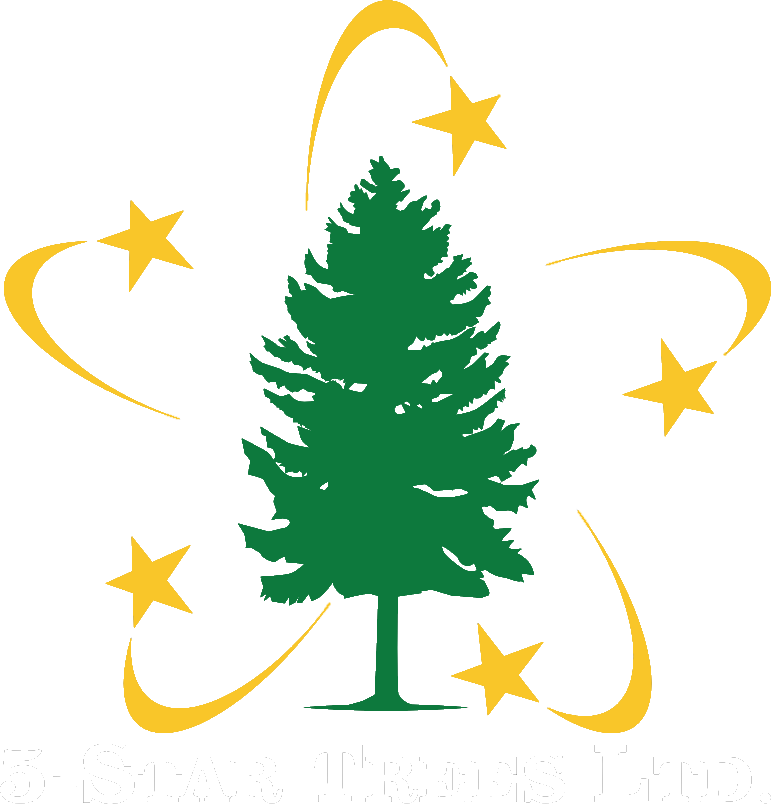 New Website Coming Soon - Fallout Factions Logo Transparent (773x809)