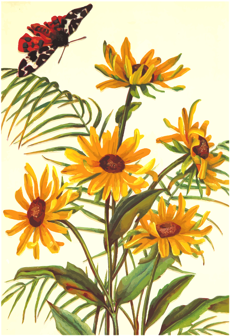 Butterfly Floral Flower - Flower (874x1280)