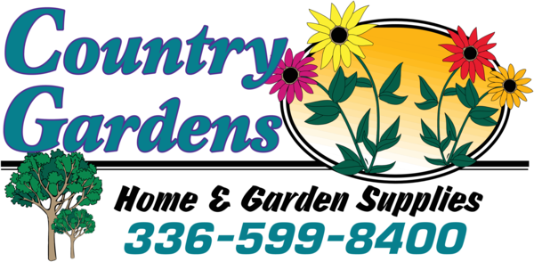 Black Eyed Susan Clip Art (600x294)