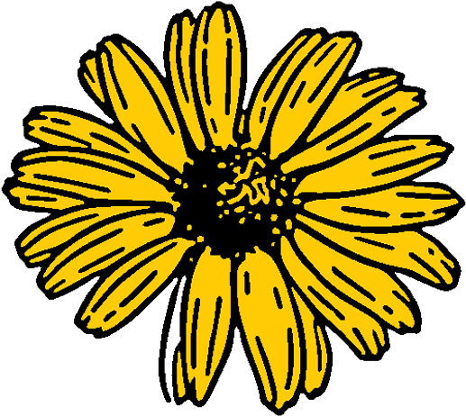 Tumblr Static - Black-eyed Susan (585x549)