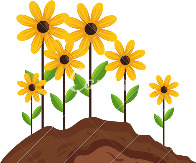 Flowers Icon Vector Illustration - Black-eyed Susan (800x800)