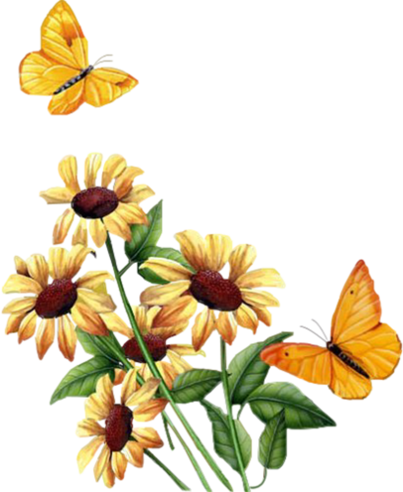 Tubes Fleurs - - Carolineblue - Animated Butterfly And Flower Gif (804x980)
