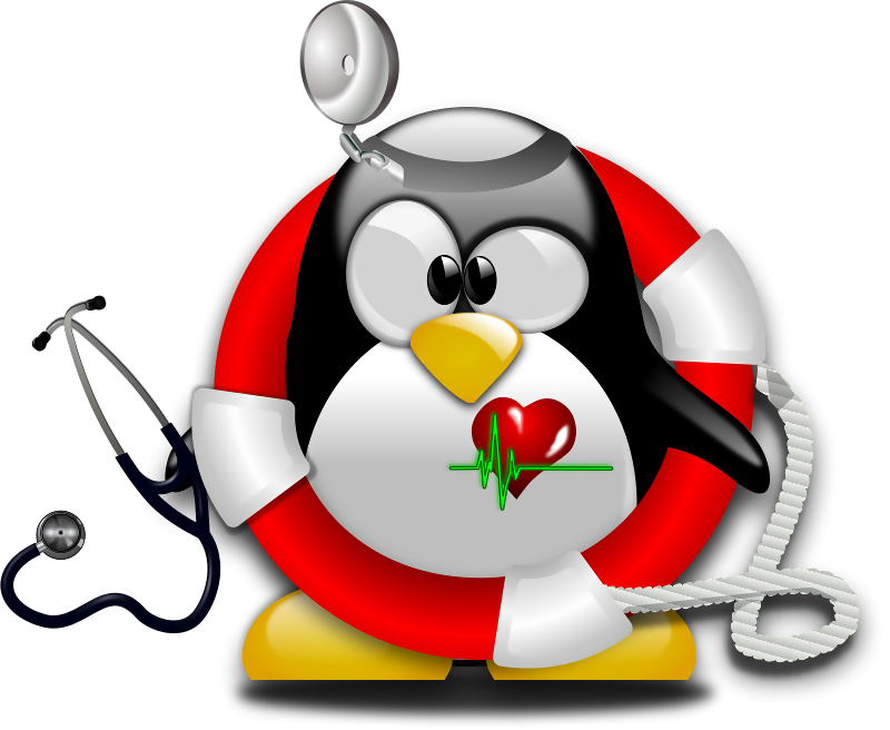 Evening Dress For Emergency Nursing Staff - Linux Penguin Tux Icon (800x656)