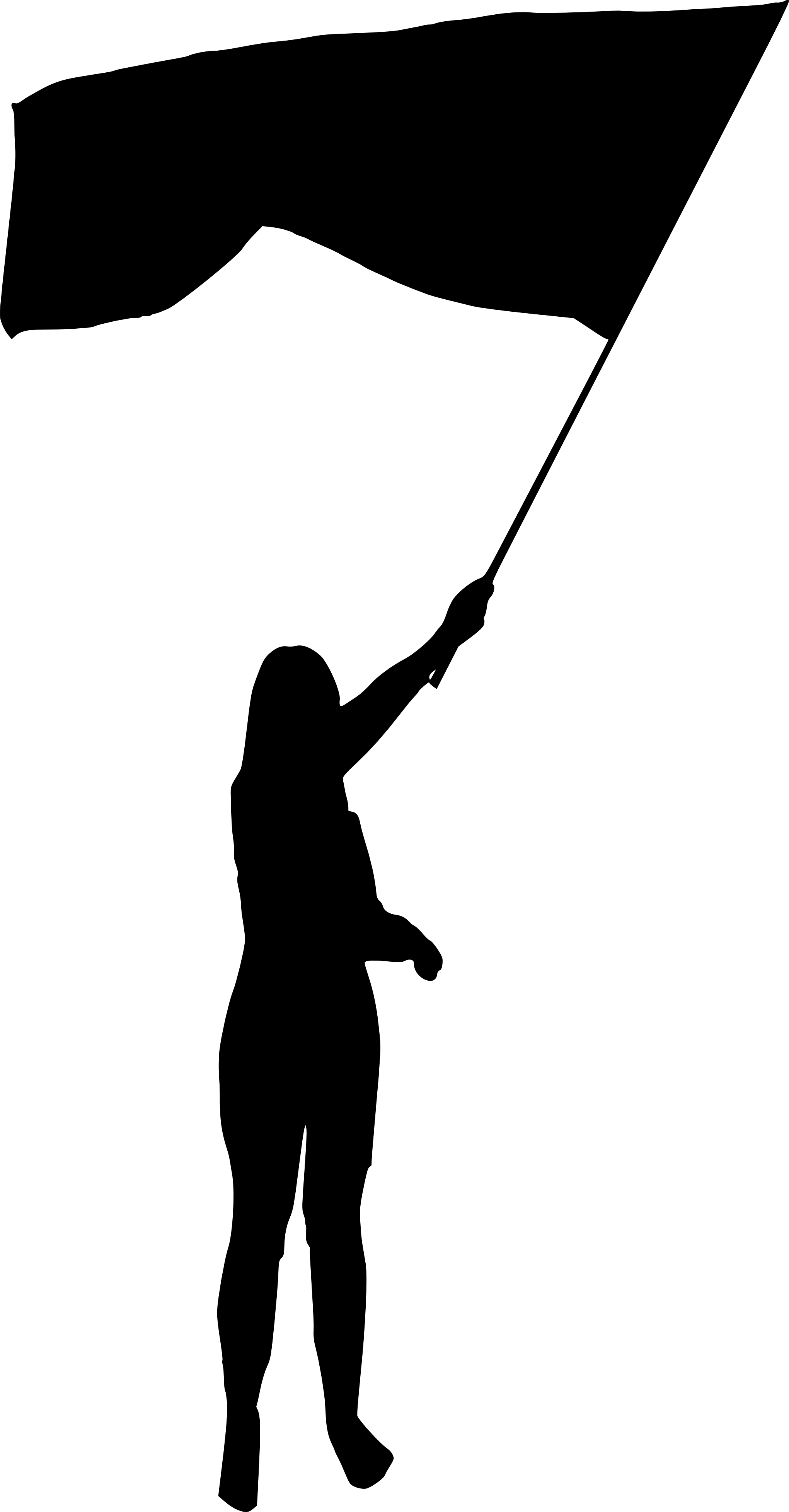 Free Download - Person With A Flag Silhouette (2041x3910)