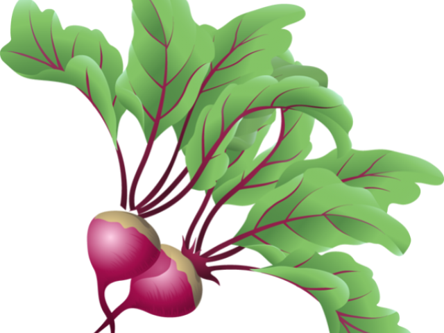 Beets Cliparts - Transparent Clip Art Vegetable (640x480)