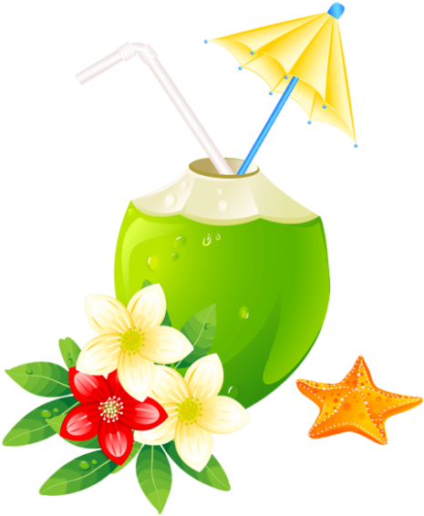 Free Png Download Summer Exotic Coctail Clipart Png - Summer Vacation Clipart Png (480x585)