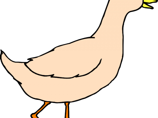 Duckling Clipart Duck Walk - Duckling Clipart Duck Walk (640x480)
