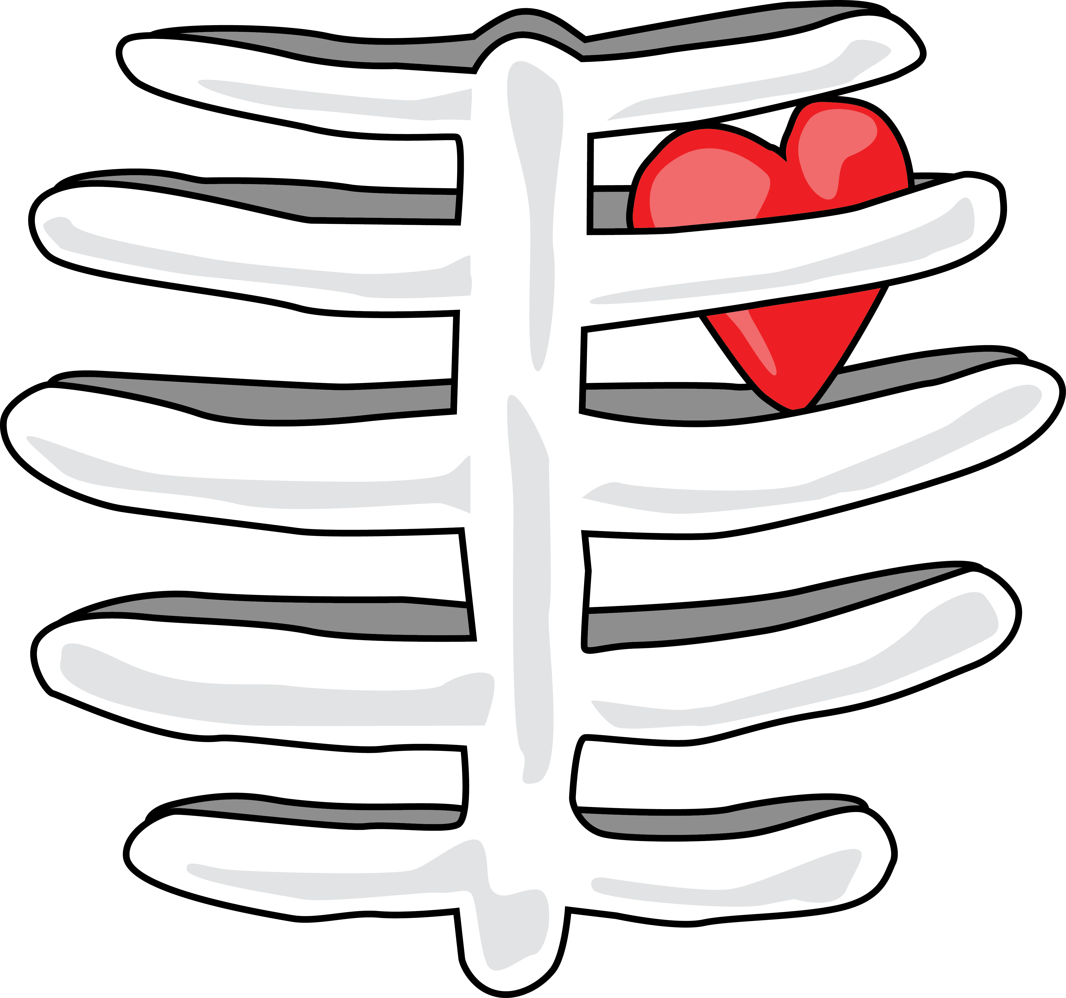 Rib Cage With Heart T-shirt Find This At Digitaltshirtshop - Illustration (4411x4132)