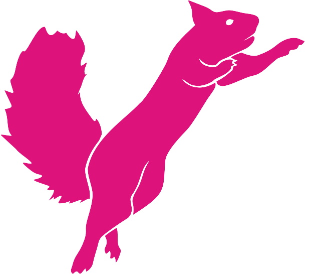 Flying Squirrel Trampoline Logo (650x554)
