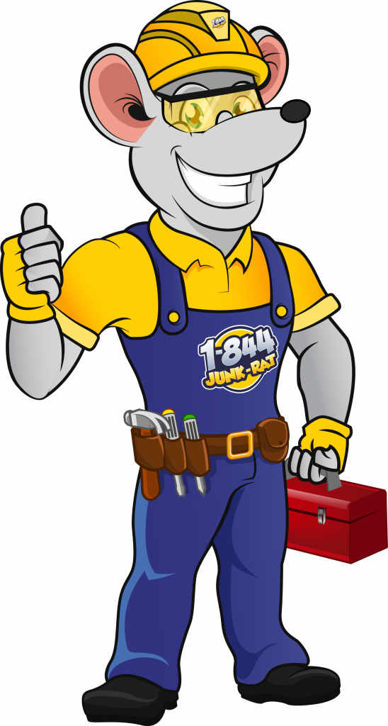 1844 Junk Rat Professional - Cartoon (548x1024)