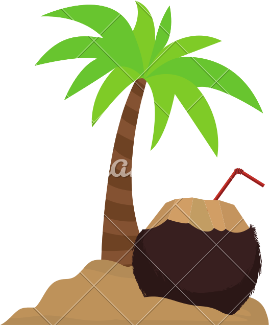 Coconut Drink On Island - Illustration (800x800)