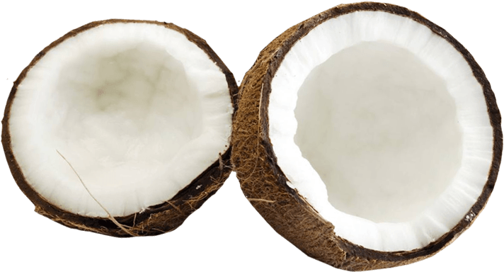 Coconut Png Image - Coconuts Png (712x401)