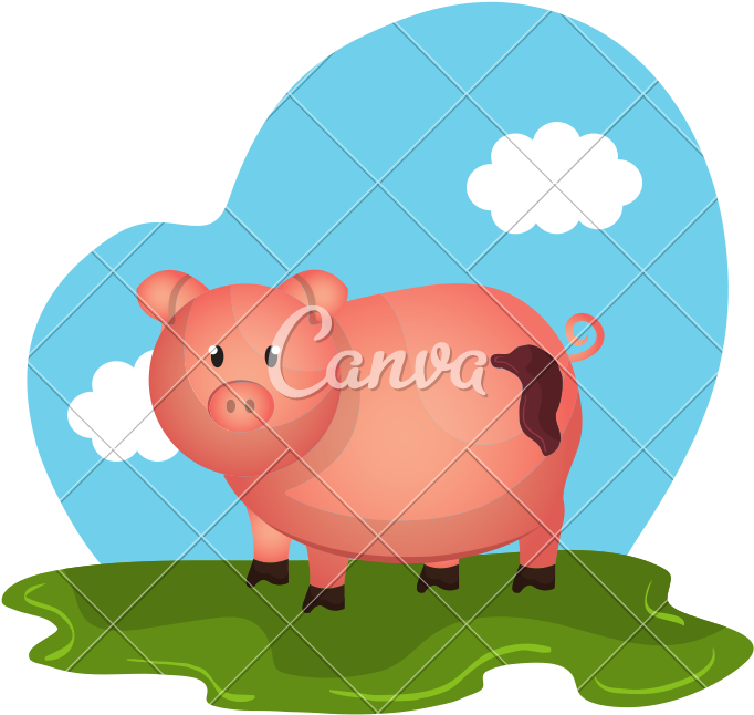 Pig Animal Farm In The Field - Cartoon (800x800)