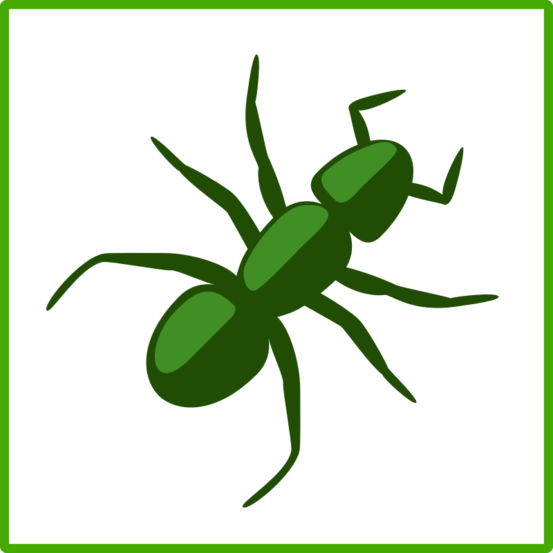 Eco Green Ant Icon - Transparent Ant Clip Art (800x800)