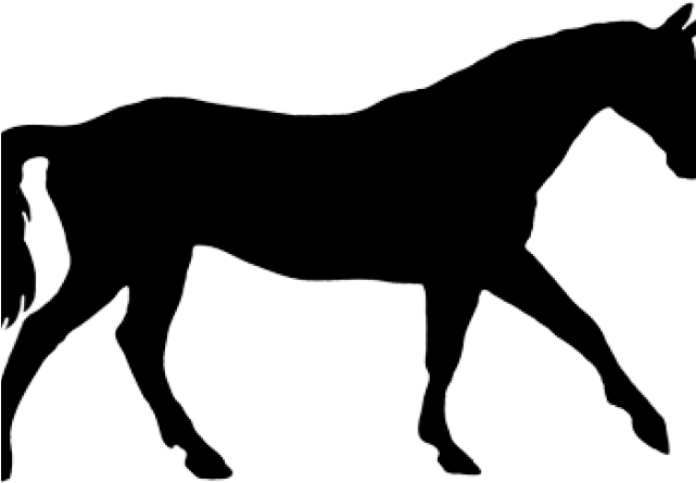 Horse Silhouettes - Horse Silhouette (640x480)