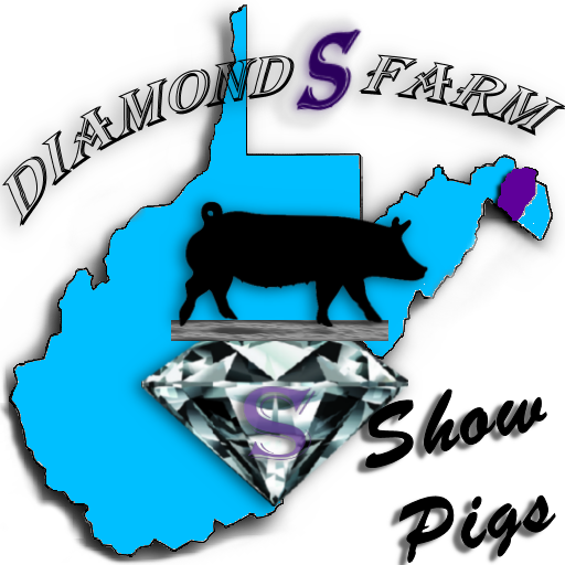 Logo - Dope Couture (512x512)