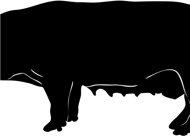 Shadow Clipart Pig - Pig Body Clip Art (640x480)