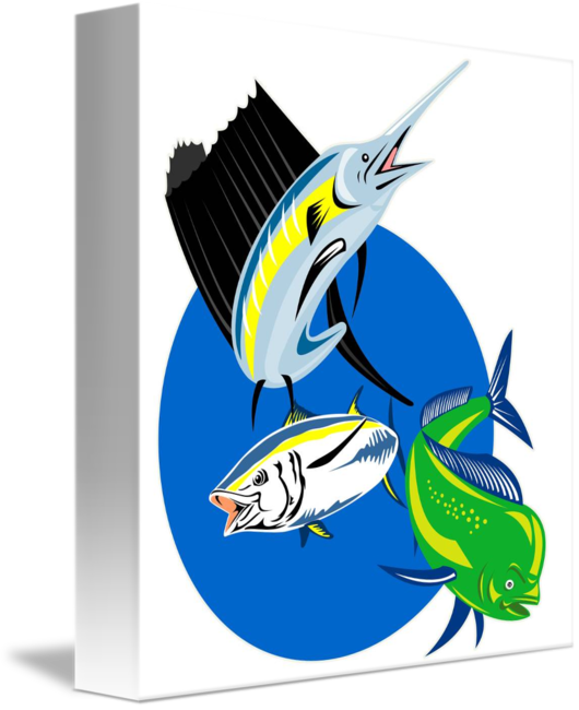 Sailfish Dorado Dolphin Fish And Yellow Fin Tuna By - Sailfish Dorado Dolphin Fish And Yellow Fin Tuna By (530x650)