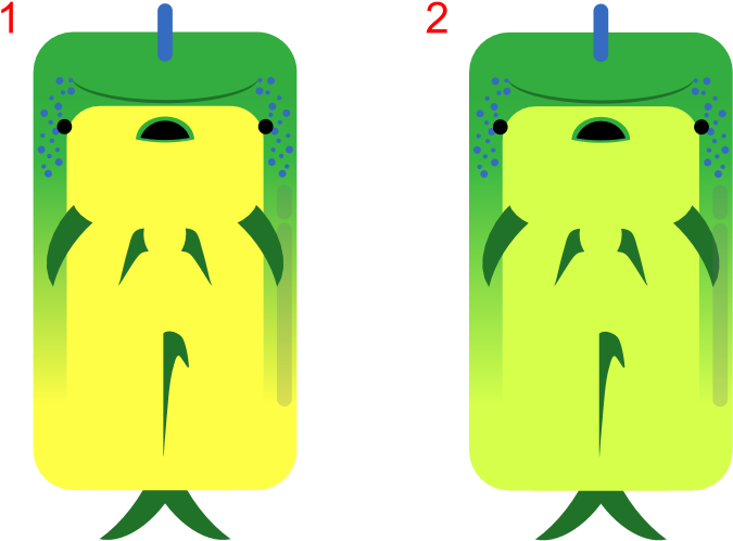 Animal[animal] Mahi Mahi - Animal[animal] Mahi Mahi (838x545)