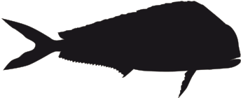 Mahi Mahi Fish Black And White Png (500x500)