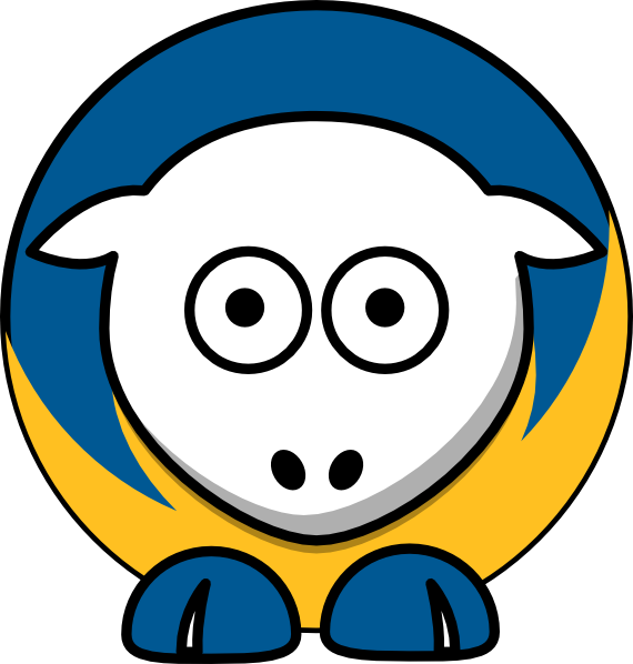 South Carolina Football Team Colors (570x598)