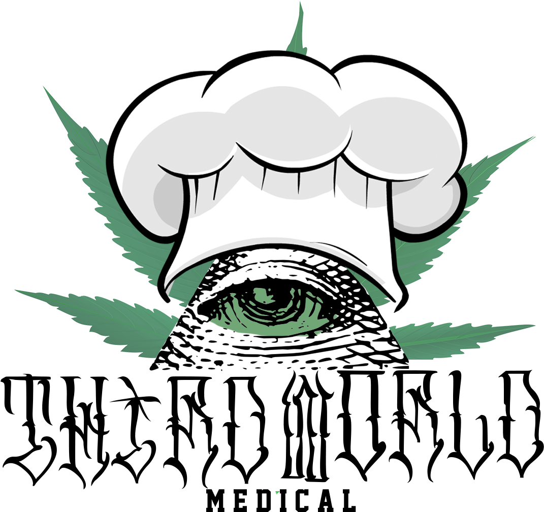 I Will Professional Quality Logo Design - Illustration (1600x1600)