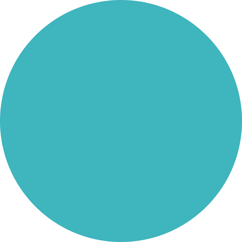 Fico Strategic Pillars - Light Blue Circle Transparent (800x800)