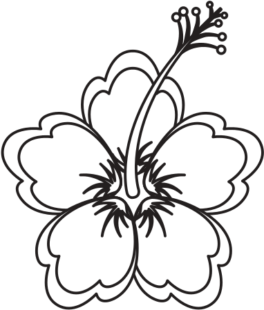 Drawn Hibiscus Ohana - Hawaiian Hibiscus (550x550)