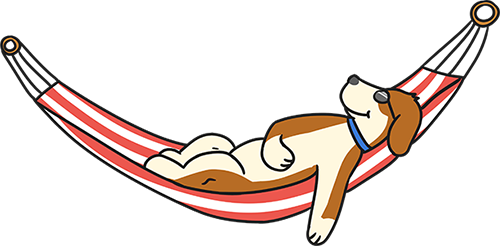 Welcome To Cool Canines In Partnership With Dog Walking - Welcome To Cool Canines In Partnership With Dog Walking (500x246)