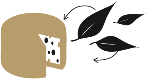 Cheese As It Should Be - Cheese As It Should Be (500x500)