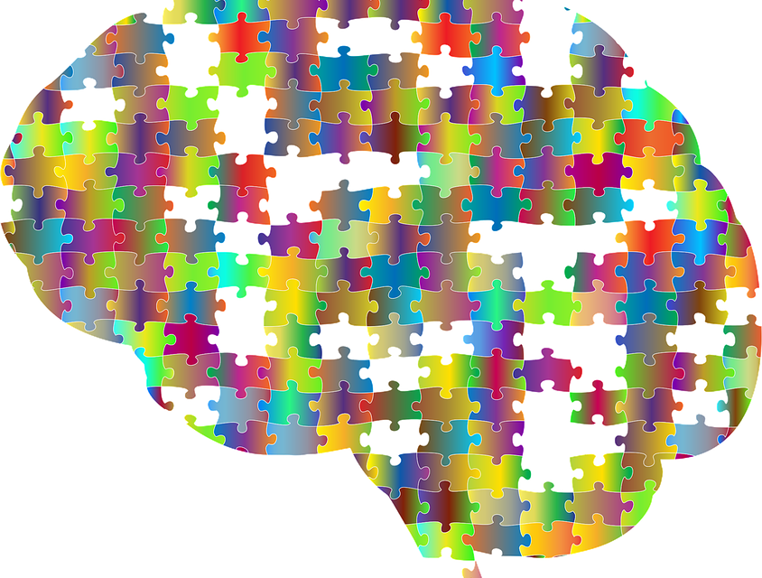 The Mind Of A Nation - Brain Puzzle (844x640)