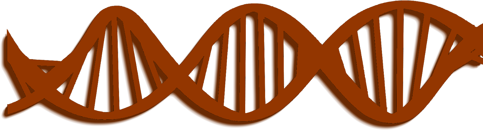 Prior - Illustration (1600x491)