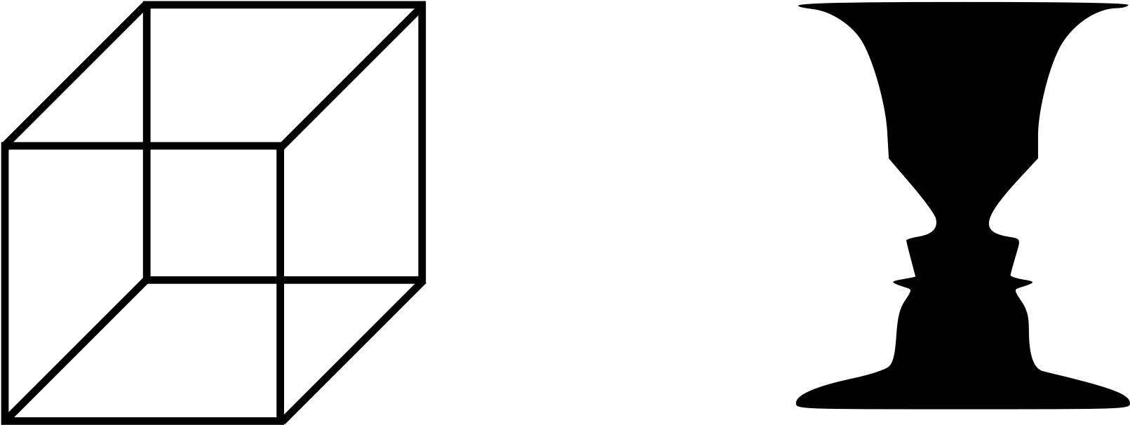 Multistability Gestalt (2000x841)