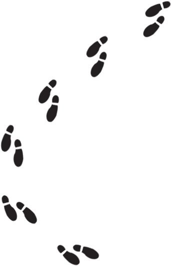 Illustration Of Footprints - Footprint (550x550)