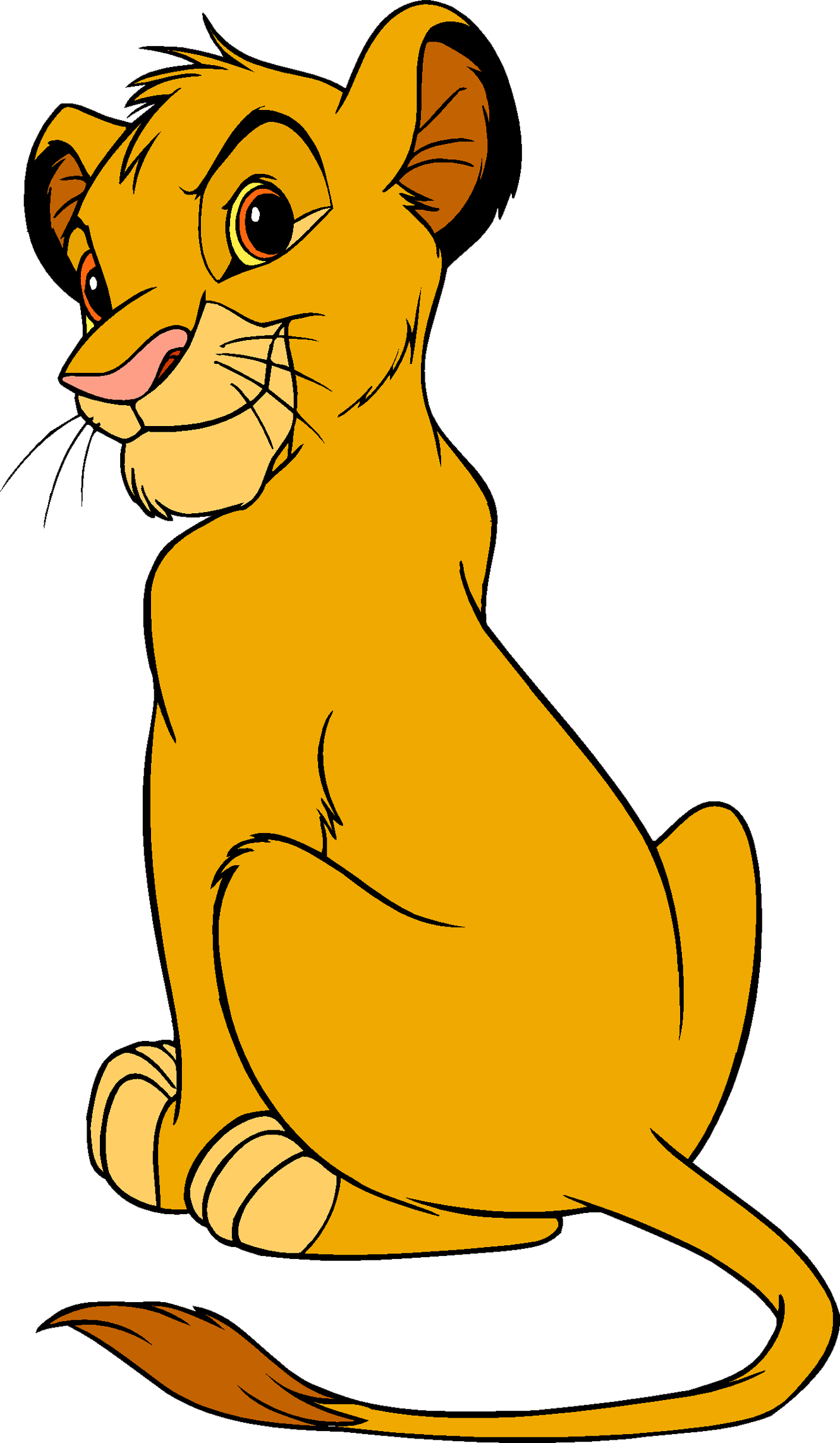 Lion King Png - Lion King Simba Cub (1329x2283)