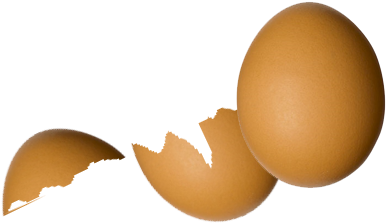 Broken Egg Png Wwwpixsharkcom Images Galleries With - Transparent Broken Egg Png (454x278)
