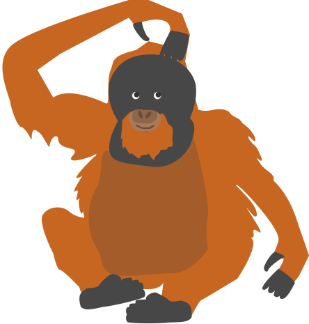 Organization Of Knowledge - Organization Of Knowledge (444x465)